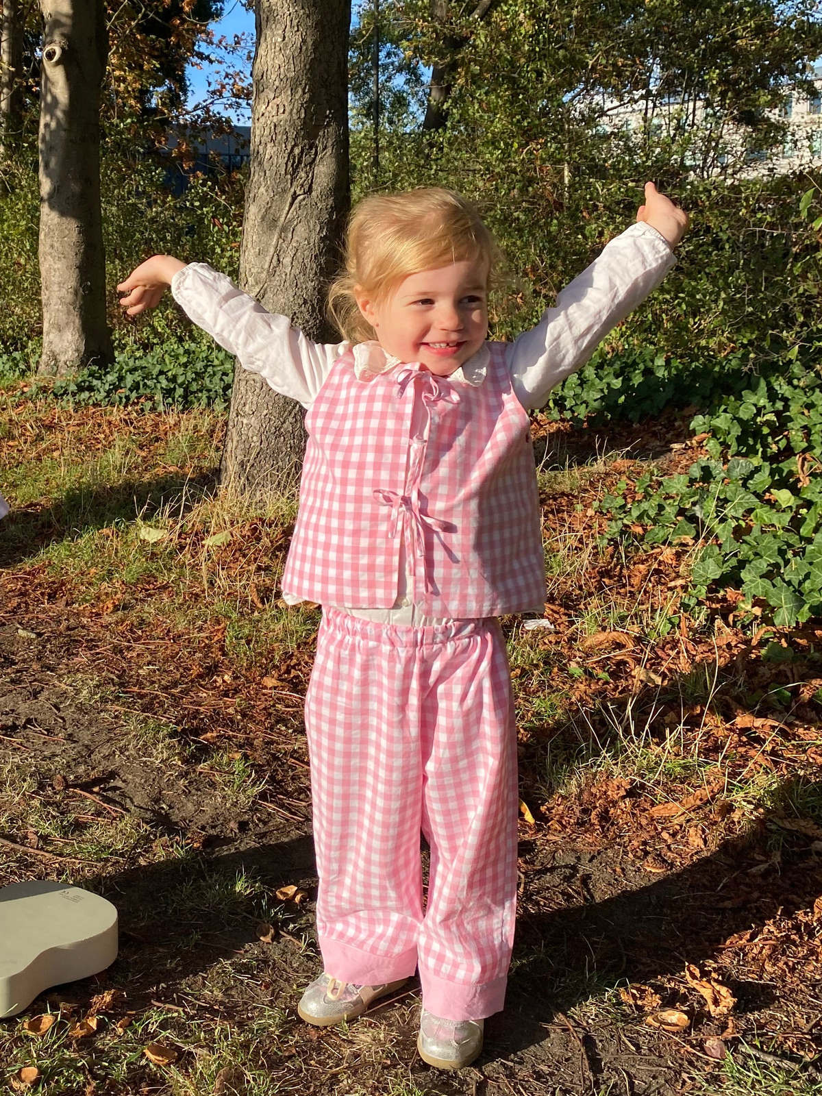The Georgina Set - Gilet and Trousers